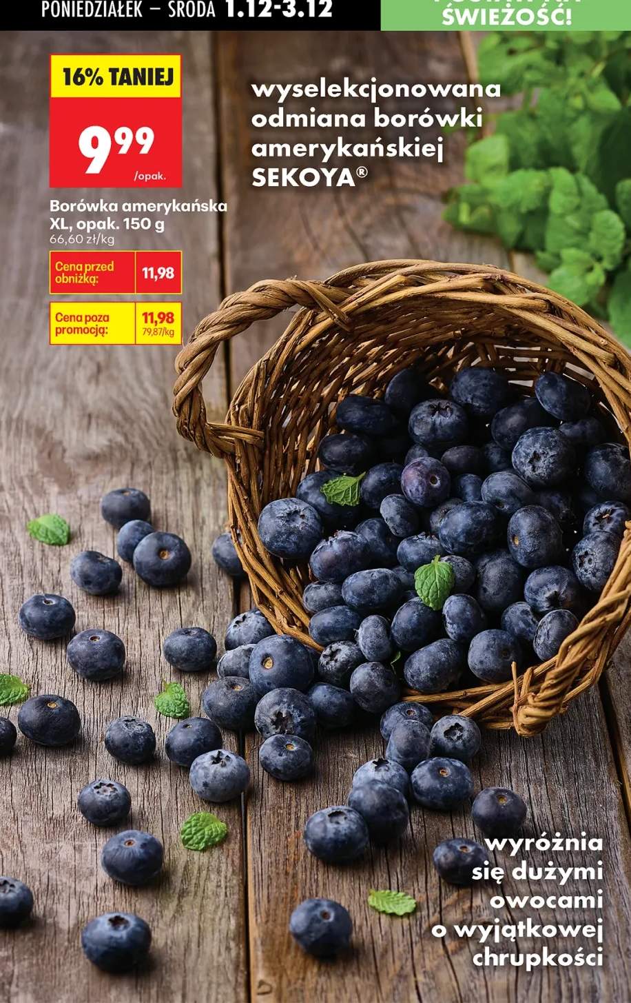 borówka amerykańska