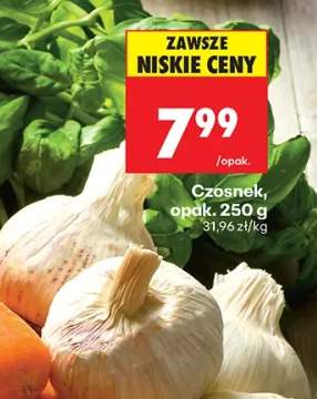 czosnek