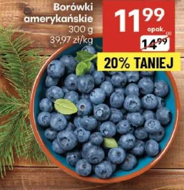 borówka amerykańska