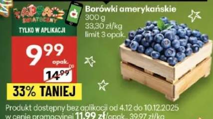 borówka amerykańska