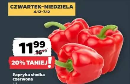 papryka słodka