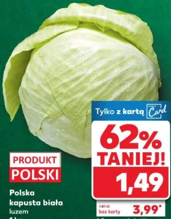 kapusta biała
