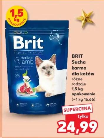 karma sucha dla kota