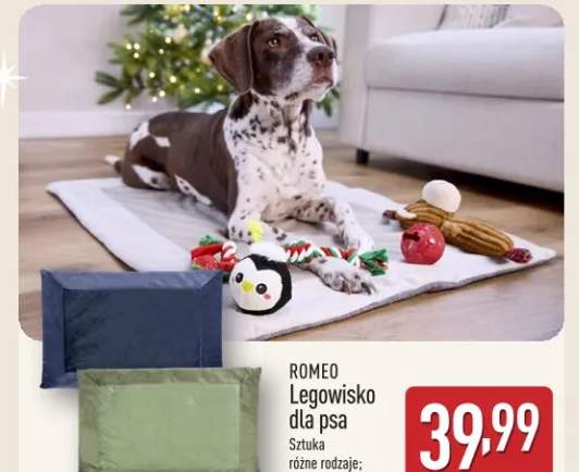 legowisko dla zwierząt