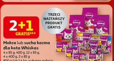 karma sucha dla kota