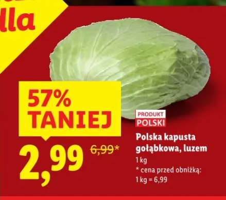 kapusta