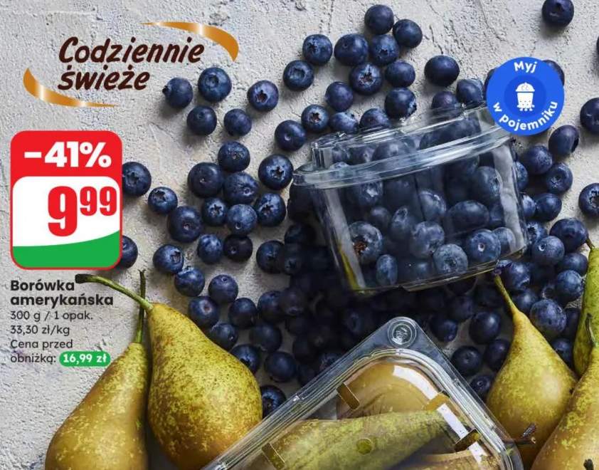 borówka amerykańska