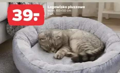 legowisko dla zwierząt