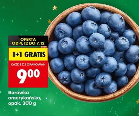 borówka amerykańska