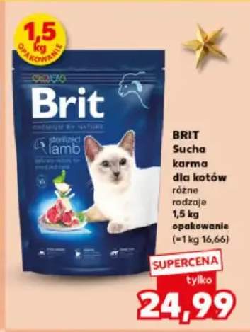 karma sucha dla kota