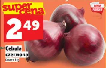 cebula czerwona