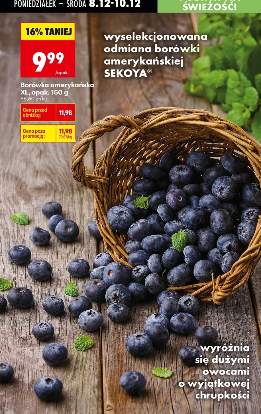 borówka amerykańska