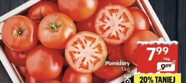 pomidory