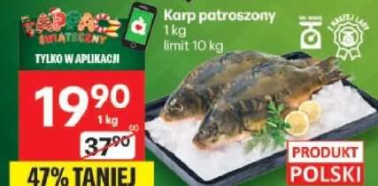 karp patroszony