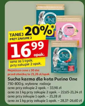 karma sucha dla kota