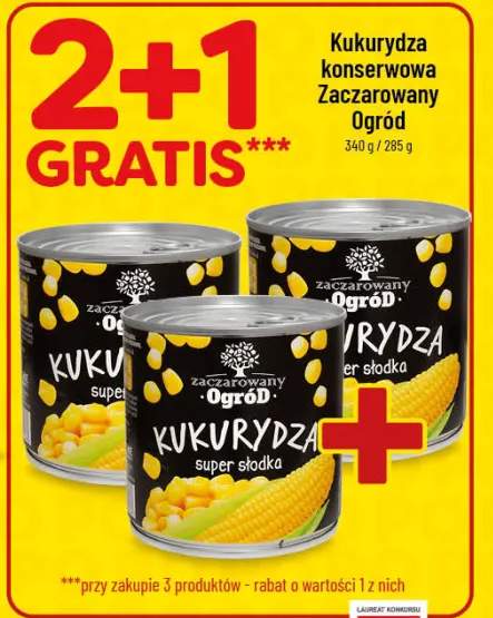 kukurydza konserwowa