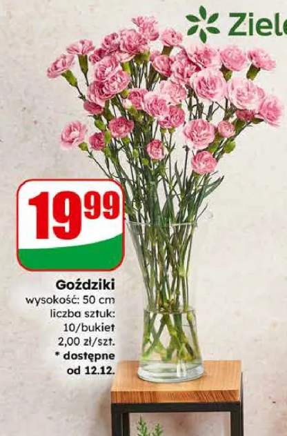 goździki