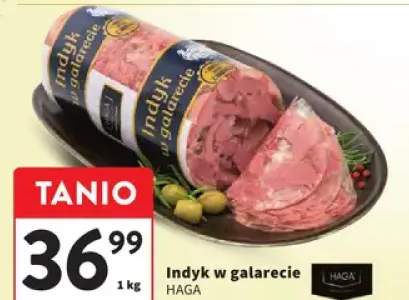 indyk w galarecie
