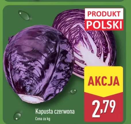 kapusta czerwona