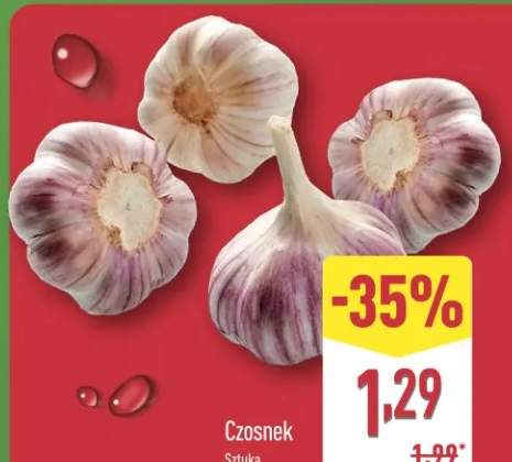 czosnek