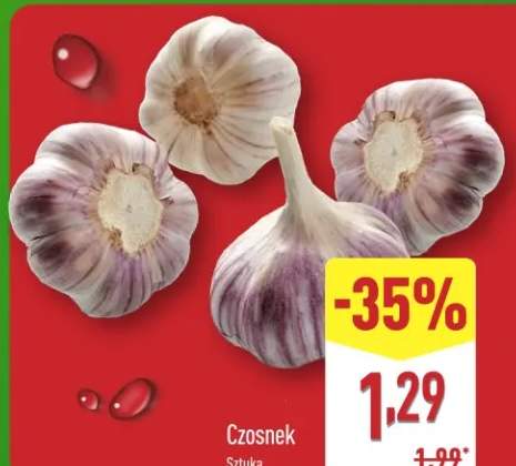 czosnek