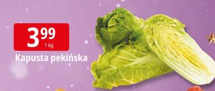 kapusta pekińska