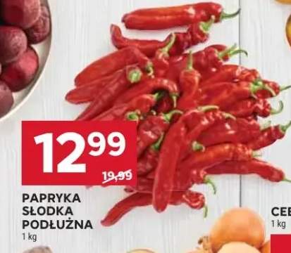 papryka słodka