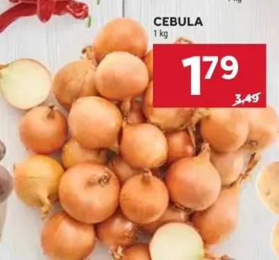 cebula