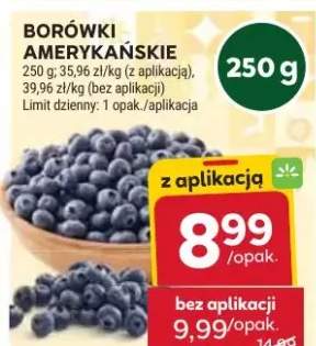 borówka amerykańska