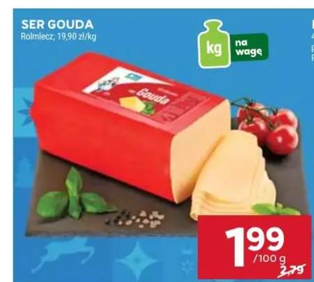 ser Gouda