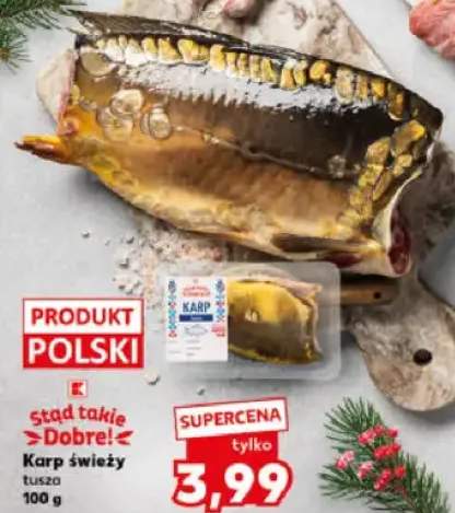 karp świeży