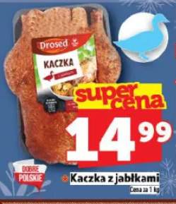 kaczka