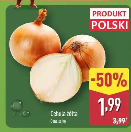 cebula żółta