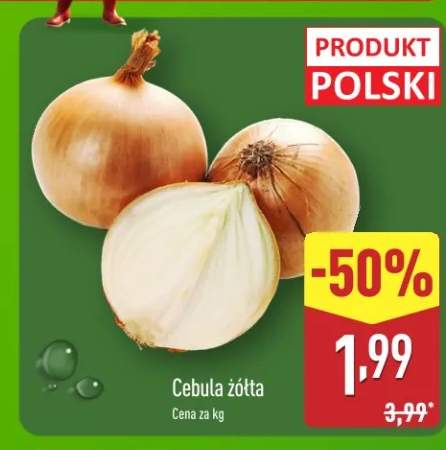 cebula żółta