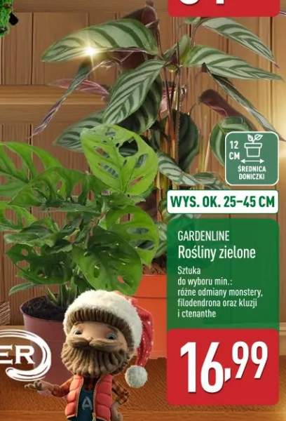 nawóz do roślin zielonych