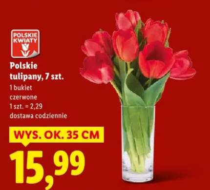 tulipany bukiet