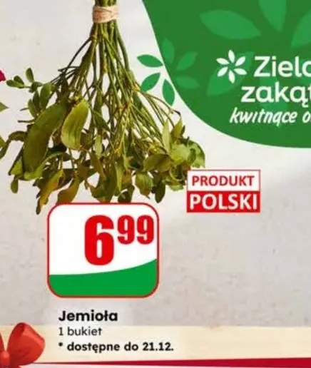 jemioła