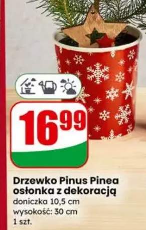 osłonka na doniczkę