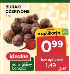 buraki czerwone