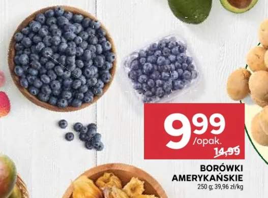 borówka amerykańska
