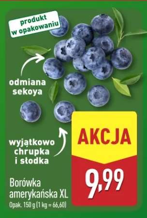 borówka amerykańska