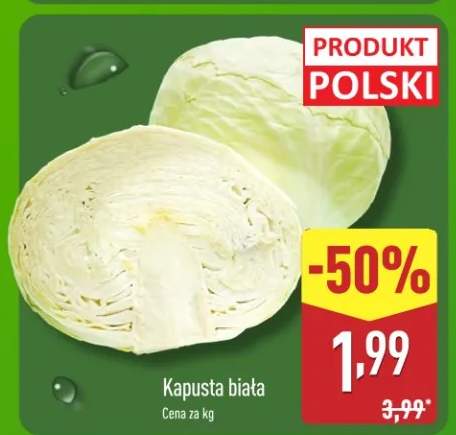 kapusta biała