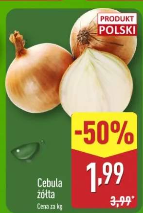 cebula żółta