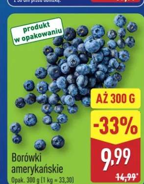 borówka amerykańska