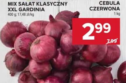 cebula czerwona
