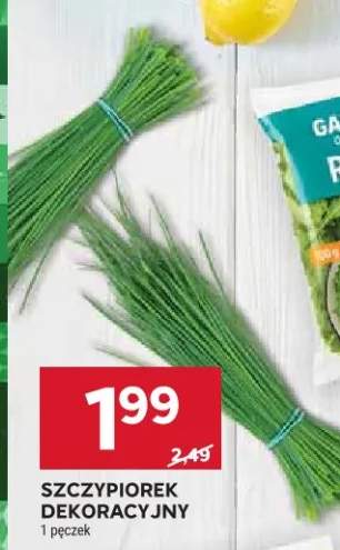 szczypiorek