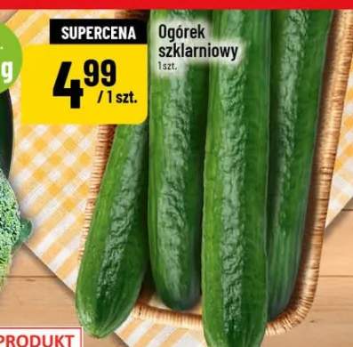 ogórek szklarniowy
