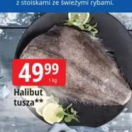 halibut tusza