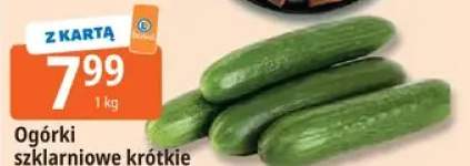 ogórki krótkie