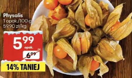 physalis